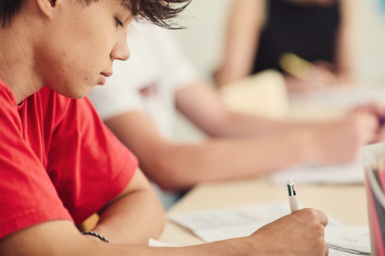 French Exam Preparation courses in Toulouse with Langue Onze