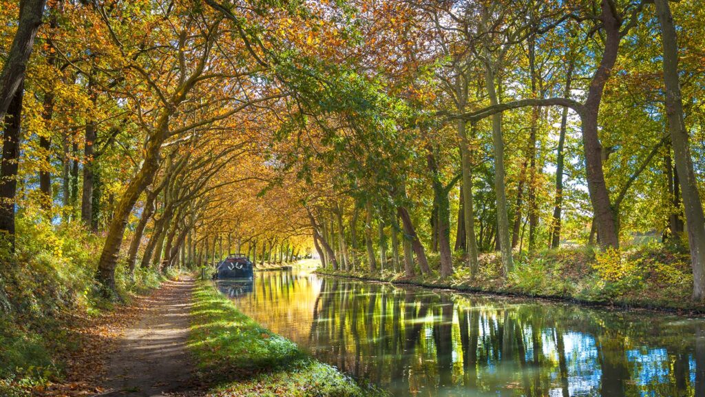 Canal du Midi in Toulouse with tree-lined canal and peaceful walking path