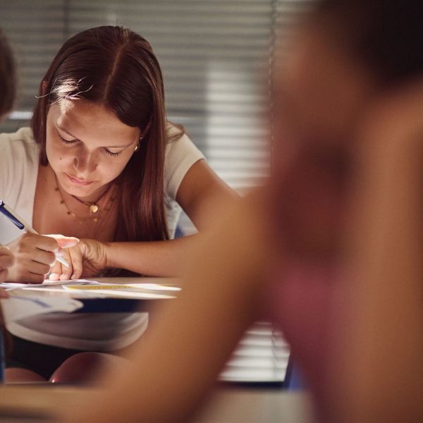 Intensive Bildunsurlaub French courses in Newdeal Institut Bordeaux