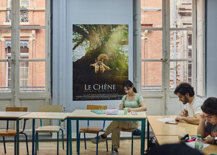 French intensive course in toulouse