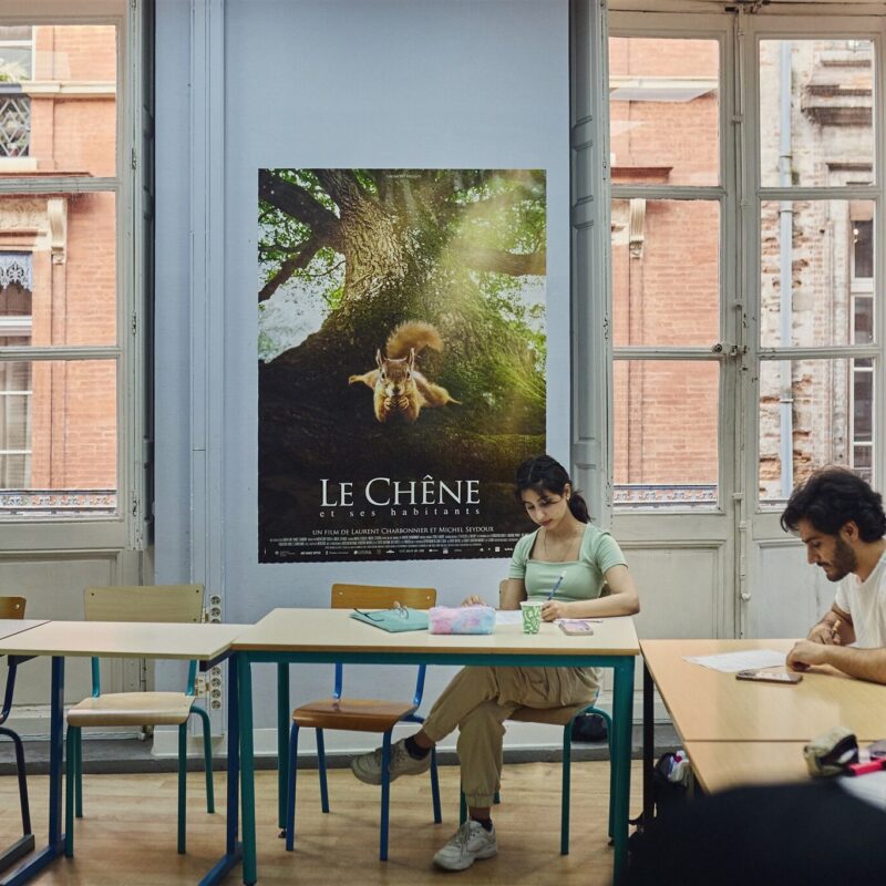 French intensive course in toulouse