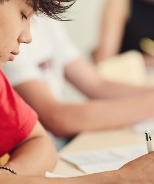 French Exam Preparation courses in Toulouse with Langue Onze