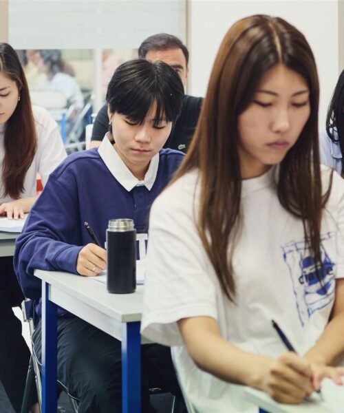 French courses for School groups and Teachers