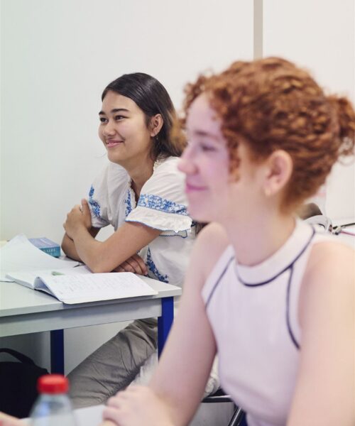 French beginner preparation french courses in Lyon