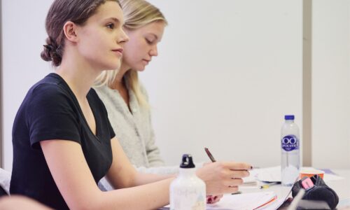 Intensive Bildunsurlaub French courses at Lyon Bleu International