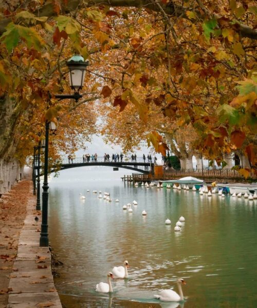 Apprendre le français à Annecy