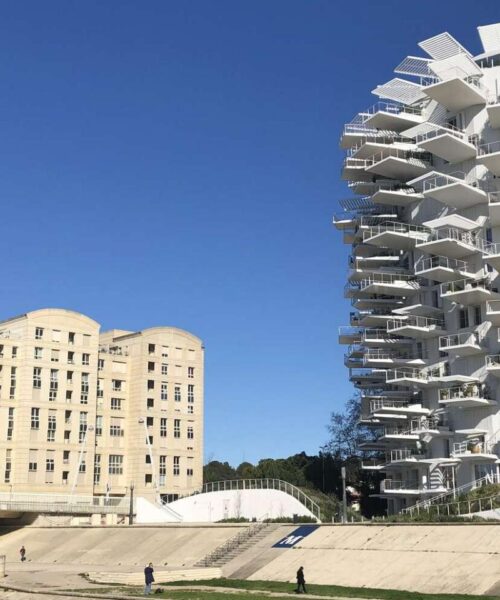 Arbre Blanc ( White tree in Montpellier )