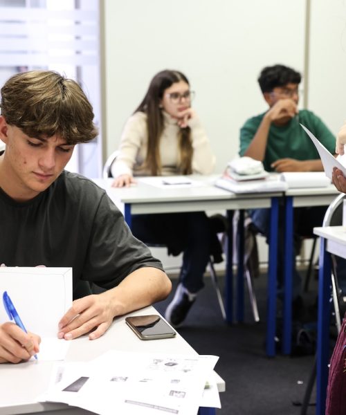 French Exam Preparation French courses in Lyon