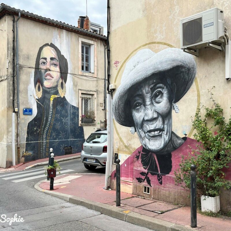 image_1406669_20221114_ob_f4549b_street-art-montpellier image_1406669_20221114_ob_f4549b_street-art-montpellier