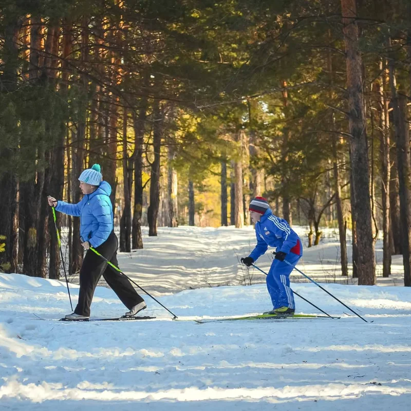 ski ski